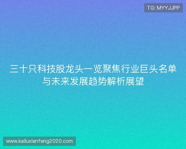 三十只科技股龙头一览聚焦行业巨头名单与未来发展趋势解析展望 三十只科技股龙头一览聚焦行业巨头名单与未来发展趋势解析展望